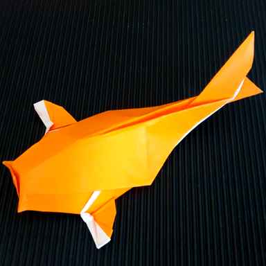 Origami koi.