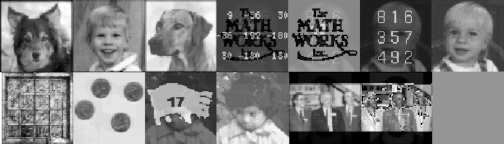 Grid of small black-and-white images of people, pets, and mathematics-related objects.
