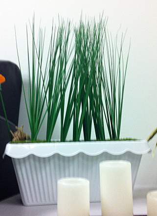 Small, rectangular plant pot containing actuated artifical grass.